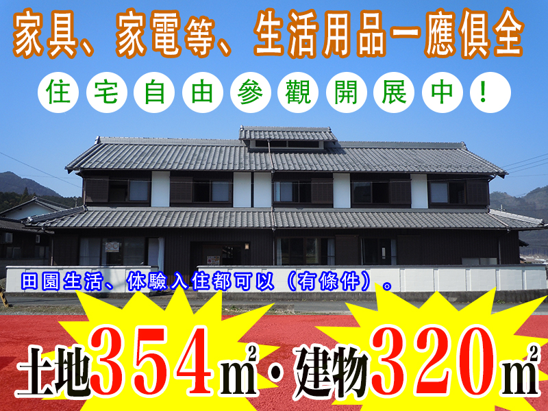 概略