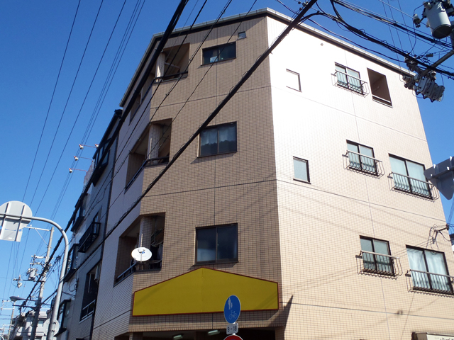 概略